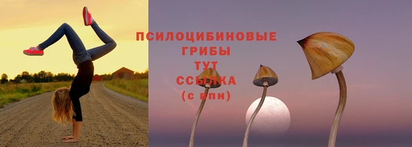 бутират Арсеньев