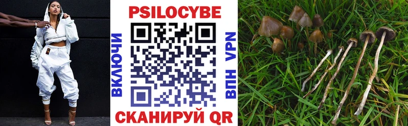 Галлюциногенные грибы прущие грибы  Арсеньев 