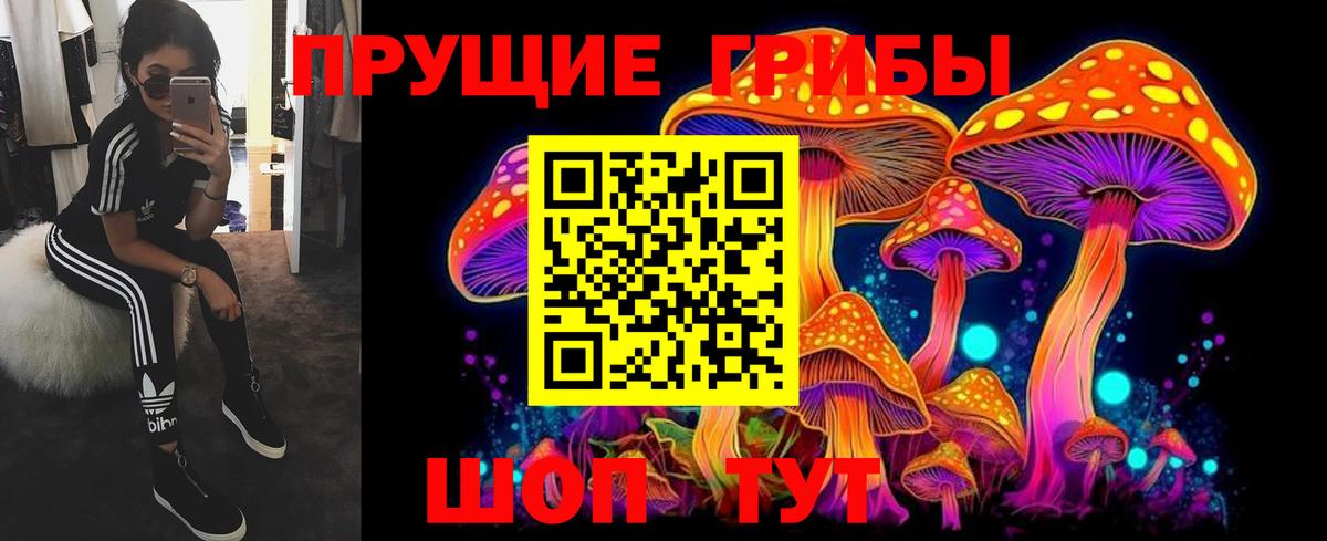 Галлюциногенные грибы Cubensis  Галлюциногенные грибы мицелий  Арсеньев  Вход с VPN 
